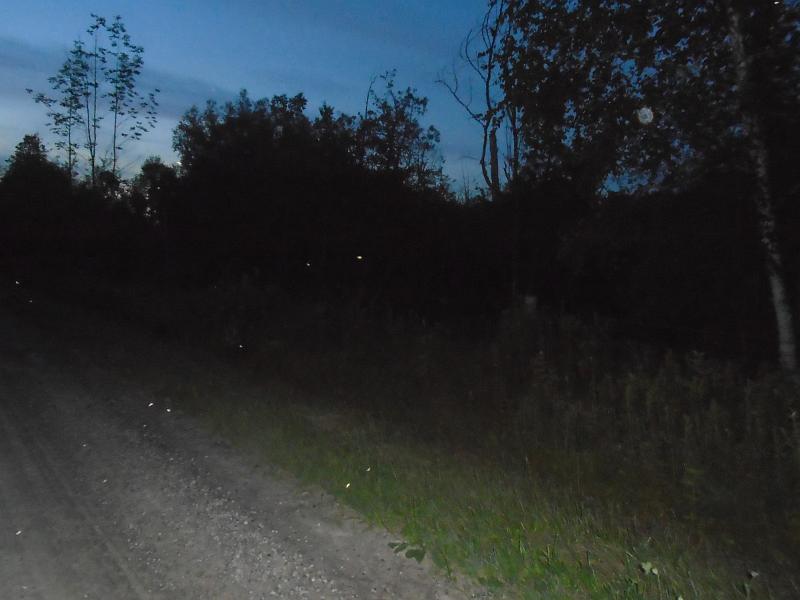 DSC01150.jpg