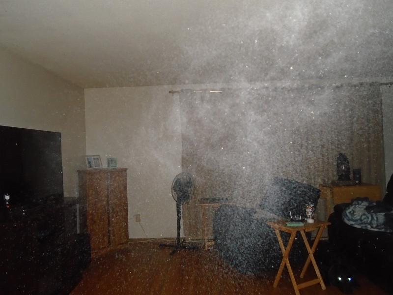 mist1_renamed_11803.jpg