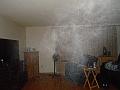 mist1_renamed_11803