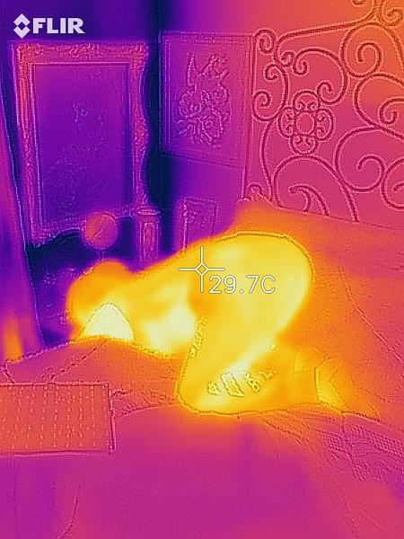 flir_20211127T214948.jpg