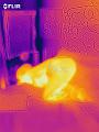 flir_20211127T214948