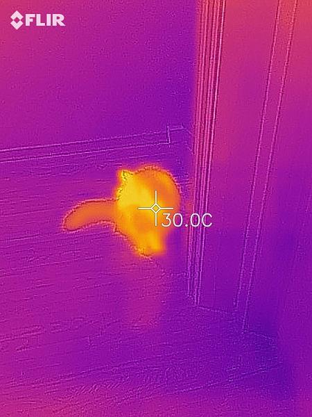 flir_20210925T211540.jpg