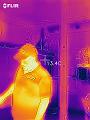flir_20220430T145917