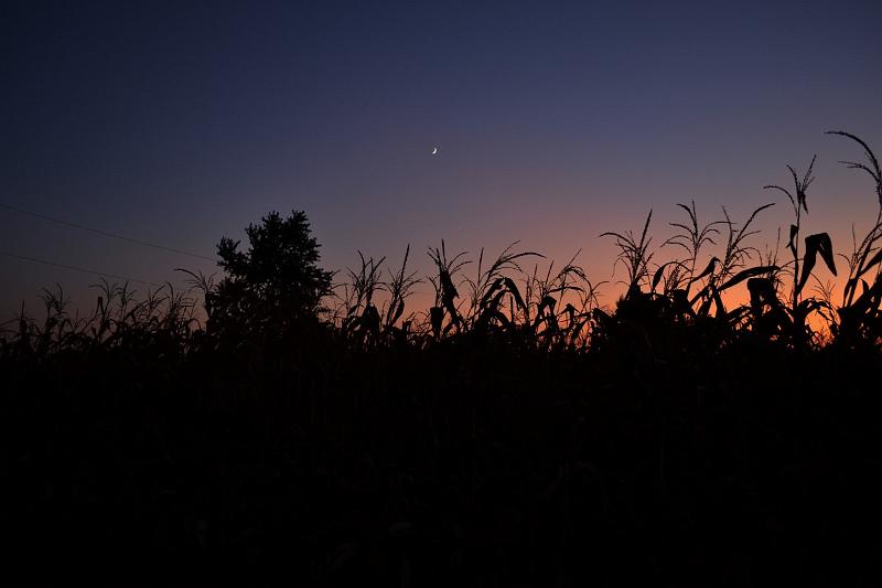 DSC_0259.jpg