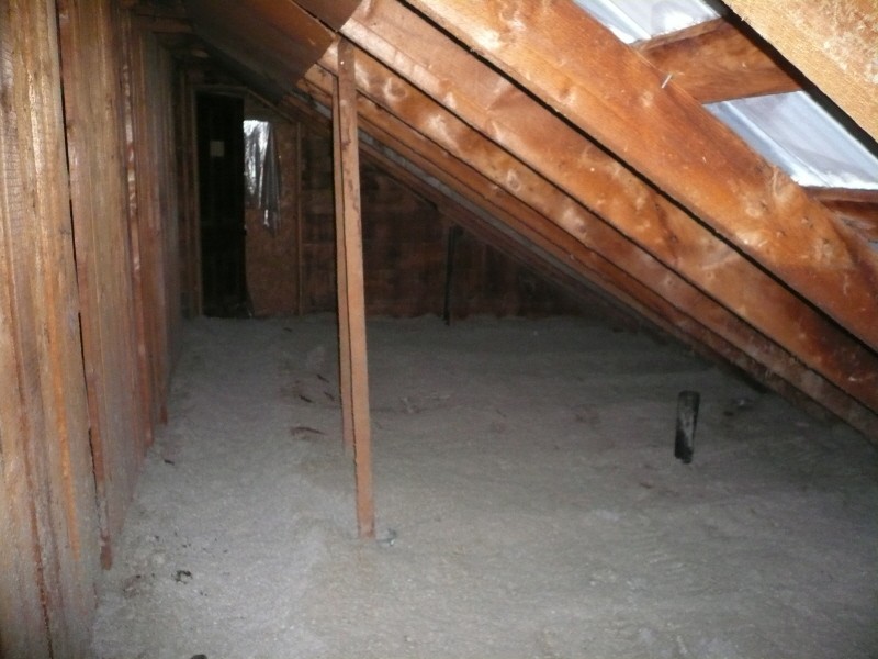 P1180011.JPG