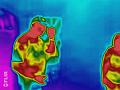 flir_20170819T222646