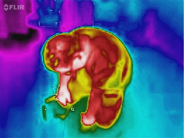 13187642_10153447040311790_1296047442_n.jpg