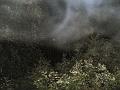 n616871052_160348_3052