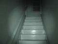 DSC00245