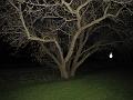 IMG_7101