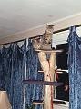 DSC02581