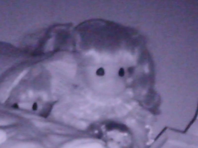 PICT0053.JPG
