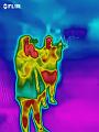 flir_20180819T013251