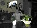 belleville_2014-09