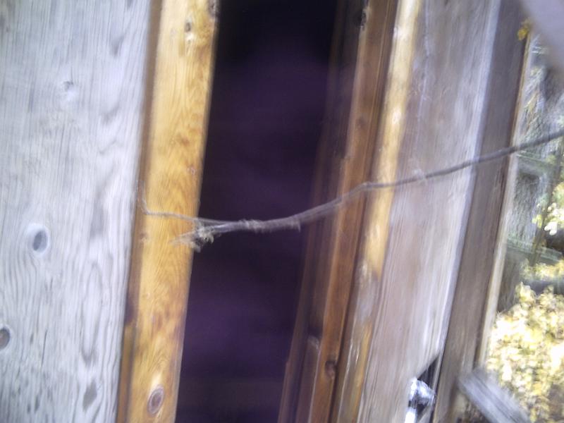 PICT0030.JPG