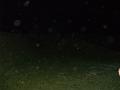 DSCF0650